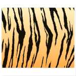 Ursus FOTOKARTON "TIERFELL"300G.49,5x68CM,TIGER