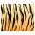 Ursus FOTOKARTON "TIERFELL"300G.49,5x68CM,TIGER