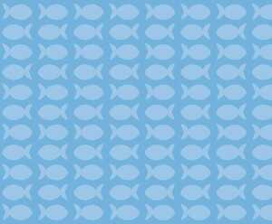 Ursus FOTOKARTON "JOY"300G.A4,MOTIV 01