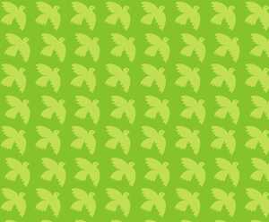 Ursus FOTOKARTON "JOY"300G.A4,MOTIV 03