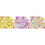 Ursus FOTOKARTON "HAPPY...