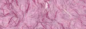 Ursus GRASPAPIER 80G.50x70CM,PINK