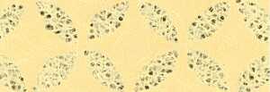 Ursus LACE PAPER 50G.50x70CM,KREISE