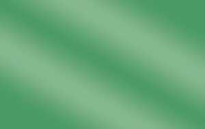 Ursus GLANZKTN.250G.DIN A4,25BL.DUNKELGRÜN