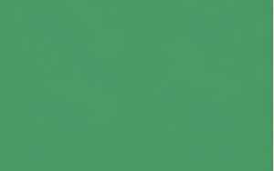 Ursus GLANZKARTON 250G.70x100CM,DUNKELGRÜN