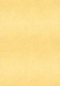 Ursus DESIGNK.FILINO STARLIGHT 200G.21x29,7CM,GOLD