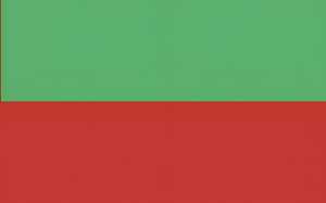 Ursus DUO-WABENPAPIER 34,5x49,5CM,1BL.GGRÜN/CROT