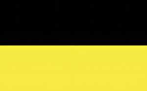 Ursus DUO-WABENPAPIER 34,5x49,5CM,1BL.SCHW./CGELB