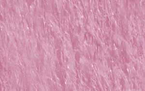 Ursus KUSCHELVLIES 21x32CM,1BL.ROSA