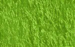 Ursus KUSCHELVLIES 21x32CM,1BL.GRASGRÜN