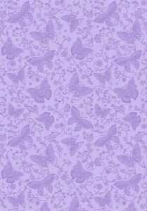 Ursus FOTOKARTON "DELUXE"300G.48x67CM,SCHMETTERLINGE