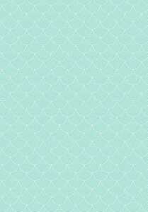 Ursus FOTOKARTON "DELUXE"300G.48x67CM,FISCHSCHUPPEN