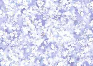 Ursus TISCHLICHT LUNA 9 4008525164944