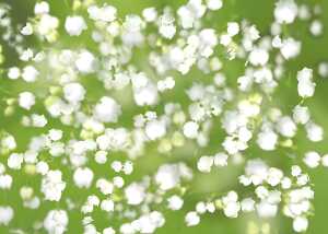 Ursus TISCHLICHT LUNA 13 4008525164982