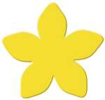 Ursus MOTIV-LOCHER GROß,STERNENBLUME