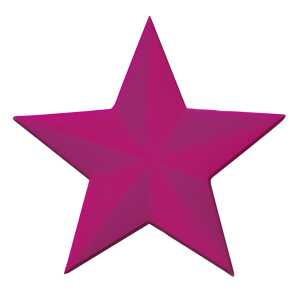 Ursus PRÄGESTANZER STERN 4008525160632