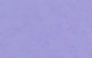 Ursus DESIGNFILZ 3,3MM,30x48CM,1BG.FLIEDER