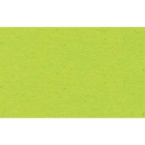 Ursus TONPAPIER 130G.50x70CM,HELLGRÜN 4008525709831