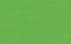 Ursus LATERNENPACKUNG "RUNDBOGEN" GRASGRÜN