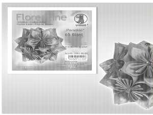 Ursus FLORENTINE "PARADISO" 80G.15x15CM,65BL.MOT.03