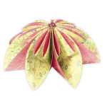 Ursus FLORENTINE "PARADISO" 80G.10CM,RUND,65BL.M.01