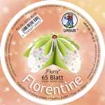 Ursus FLORENTINE "FLURRY" 80G.10CM,RUND,65BL.MULT/K