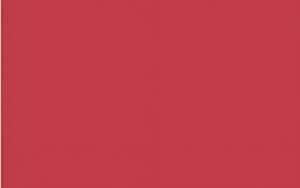 Ursus TRANSP.42G.35x50CM,25BL.KIRSCHROT