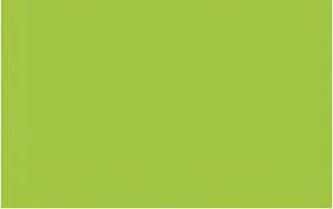 Ursus TRANSP.42G.35x50CM,25BL.HELLGRÜN