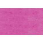 Ursus TRANSP.ROLLE 42G.70x100CM,EOSIN