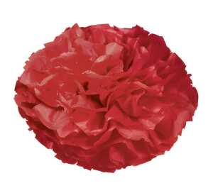 Ursus PAPER POMPONS,SEIDENP.20G.50x70CM,10BG.H.ROT