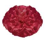 Ursus PAPER POMPONS,SEIDENP.20G.50x70CM,10BG.D.ROT