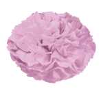 Ursus PAPER POMPONS,SEIDENP.20G.50x70CM,10BG.ROSA