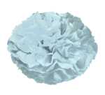Ursus PAPER POMPONS,SEIDENP.20G.50x70CM,10BG.H.BLAU