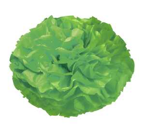 Ursus PAPER POMPONS,SEIDENP.20G.50x70CM,10BG.G.GRÜ