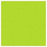 Ursus INTENS.FALTBL.UNI 10x10CM,100BL.HELLGRÜN