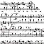 Ursus AURELIO STERN NOTEN "SCHWARZ"115G.14,8x14,8CM