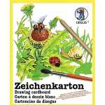Ursus ZEICHENKARTON 120G.DIN A2,25BG.