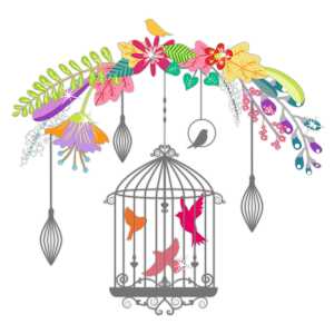 Ursus SONDEREDITIONS-FOTOKTN.300G.DIN A4,10BL.SCHWA