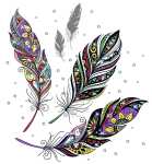 Ursus SONDEREDITIONS-FOTOKTN.300G.DIN A4,10BL.3FA.S