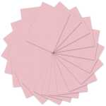 Ursus FOTOKARTON 300G.A4,50BL.ALTROSA