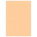 Ursus SONDEREDITIONS-FOTOKTN.300G.DIN A4,10BL.10F.S 4008525213376