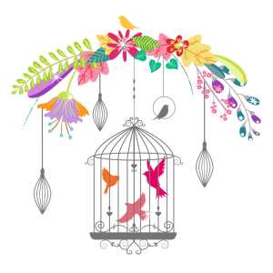 Ursus SONDEREDITIONS-FOTOKTN.300G.DIN A3,10BL.SCHWARZ