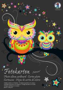 Ursus SONDEREDITIONS-FOTOKTN.300G.DIN A3,10BL.10F.SORT.