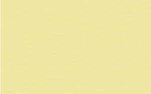 Ursus BASTELKARTON GEP.220G.50x70CM,HELLGELB