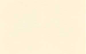 Ursus BASTELKARTON GEP.220G.50x70CM,CHAMOIS