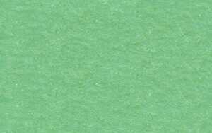 Ursus BASTELKARTON GEP.220G.50x70CM,TROPICGRÜN