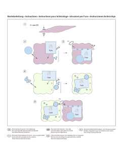 Ursus MEMORY BOOK KIT VINTAGE 4008525204411
