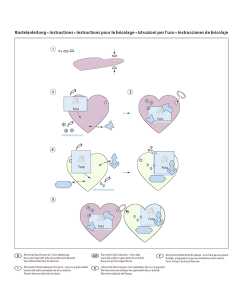 Ursus MEMORY BOOK KIT VINTAGE HEART