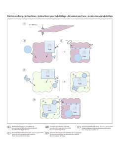 Ursus MEMORY BOOK KIT SHABBY CHIC