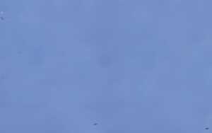 Ursus VISKOSE BASTELFILZ 60x90CM,1BG.MITTELBLAU